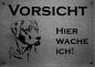 Preview: Edelstahl Warnschild Rhodesian Ridgeback VORSICHT Hier wache ich!
